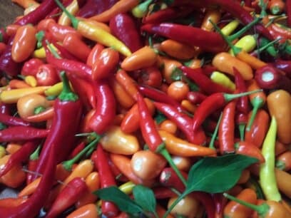 Ferme Les 2 Pianos