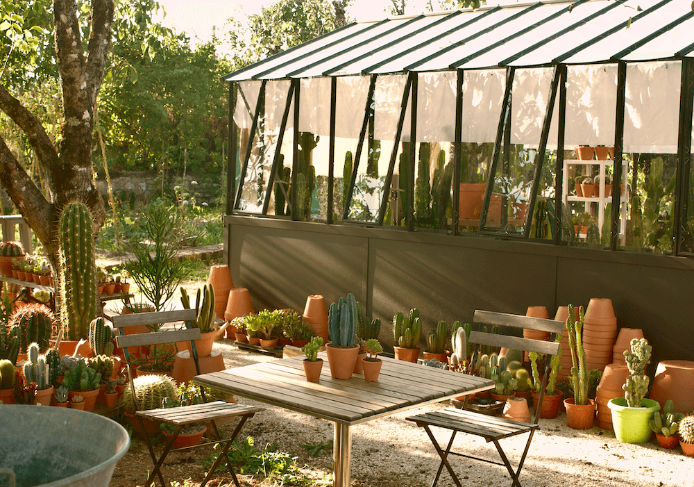 Gîte Le cactus orange