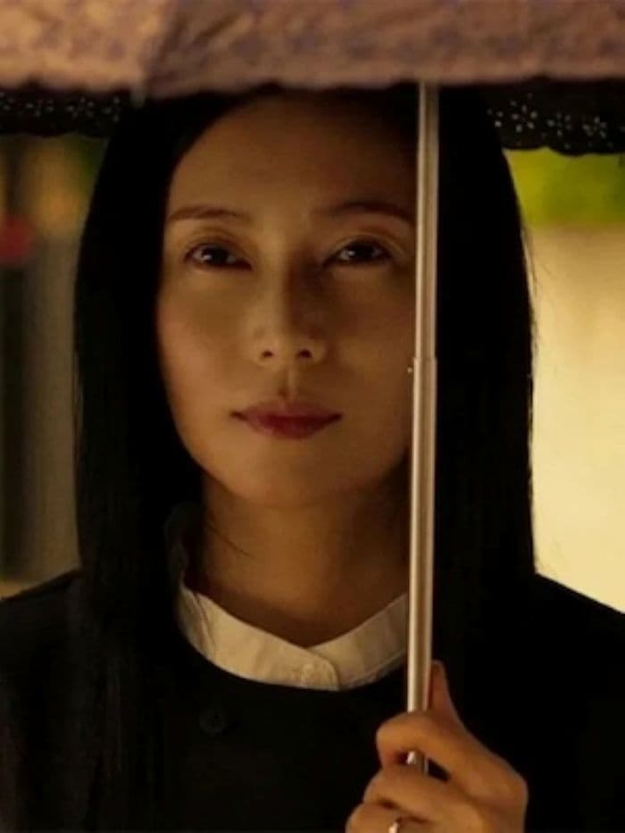 Ciné à Figeac 7 jours, 8 films japonais en avant-première : Les saisons Hanabi !