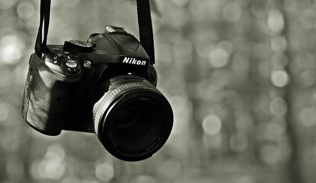 exposition photographie