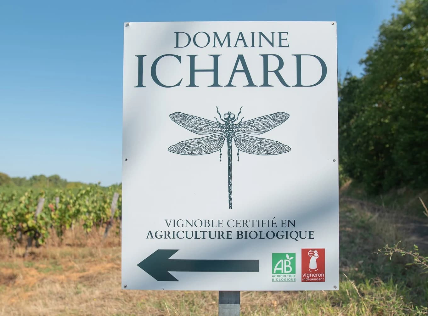 Domaine Ichard