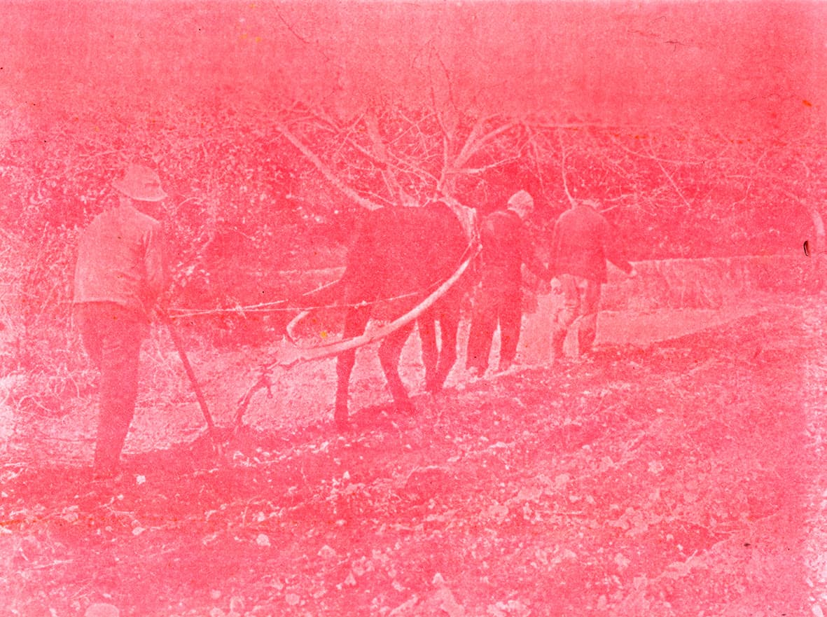 Lilie Pinot, atelier Archives & matière photographique, Lycée La Vinadie, Figeac
