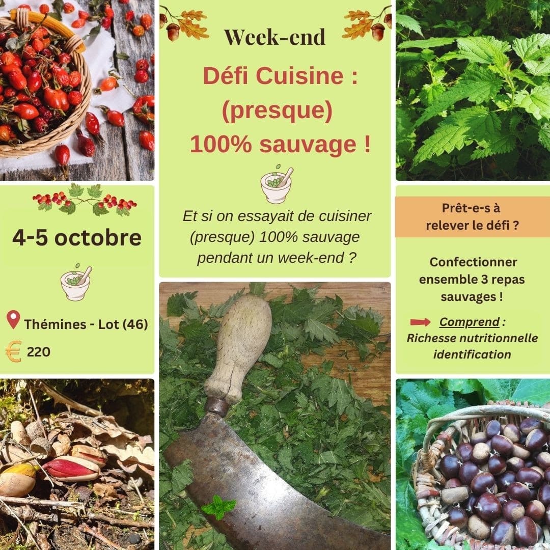 Atelier : défi cuisine "presque 100% sauvage"