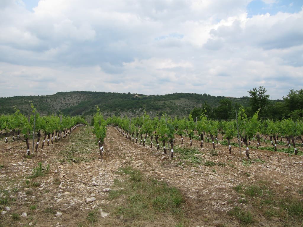 Domaine du Souleillan
