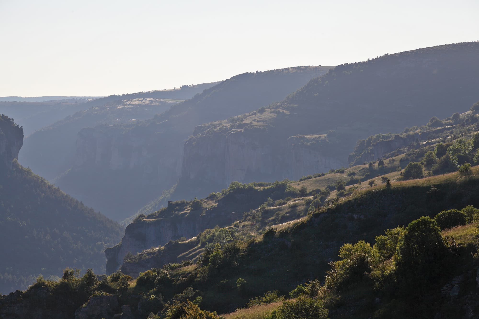 Les Gorges de la Jonte