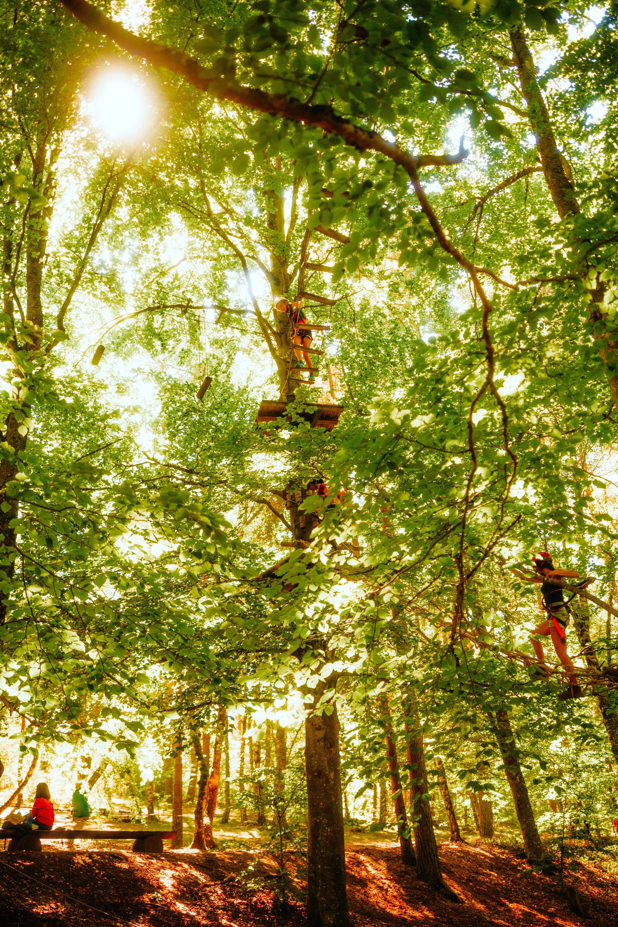 Accrobranche du Rondin Parc 2