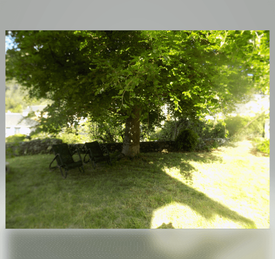 Jardin