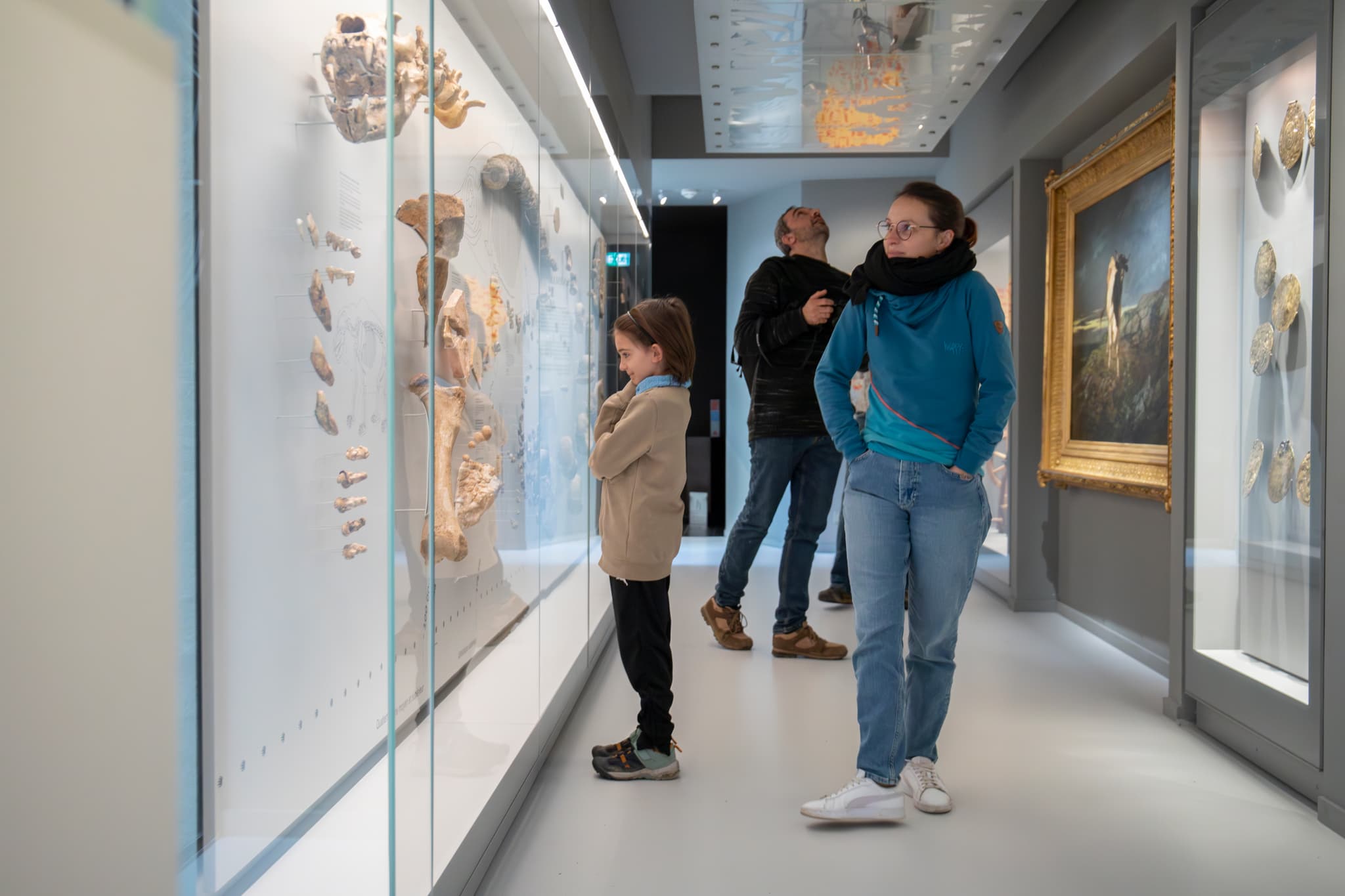 Musée du Gévaudan - Vue de l'exposition permanente
