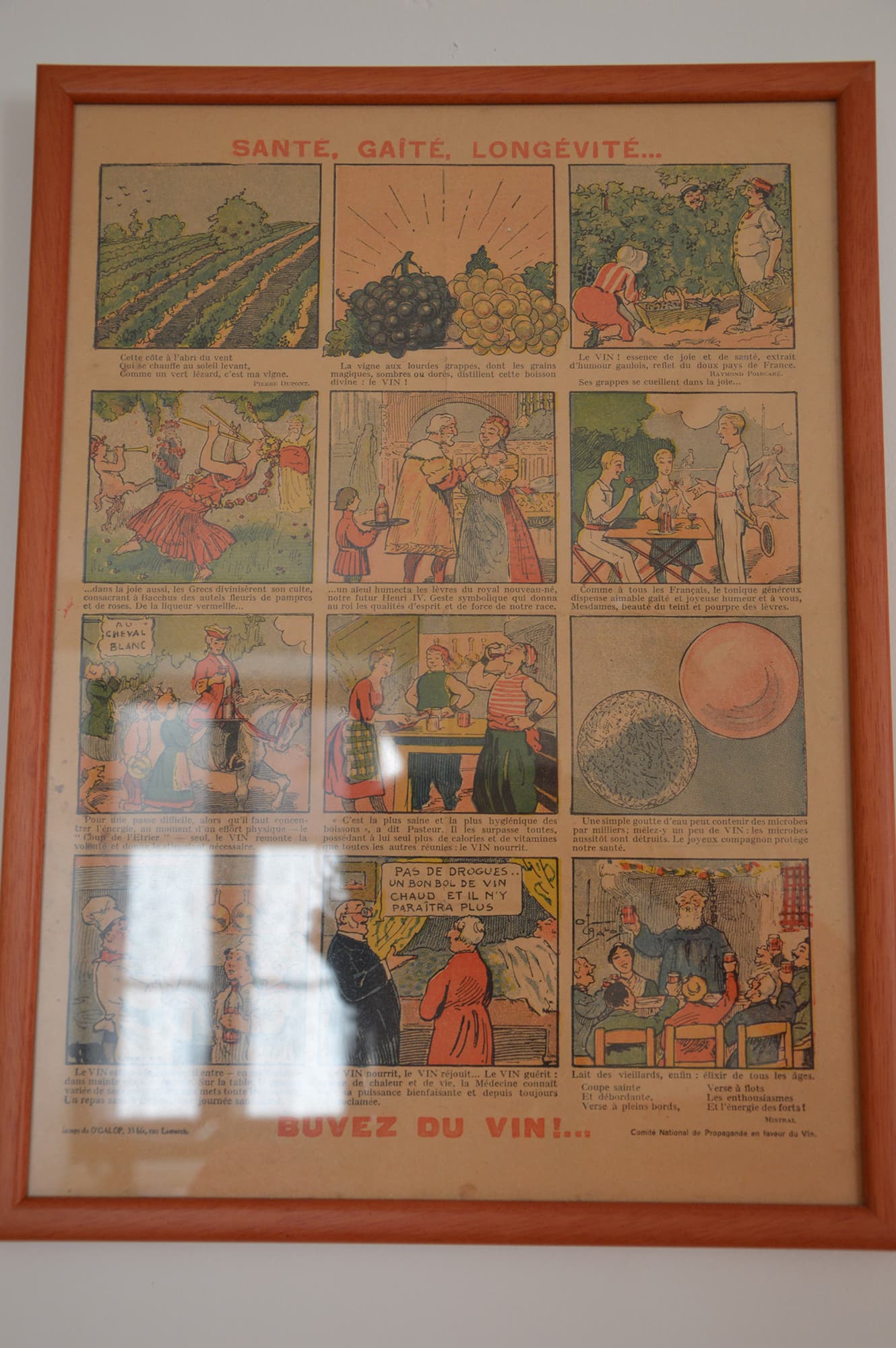 06-DSC_1107-web