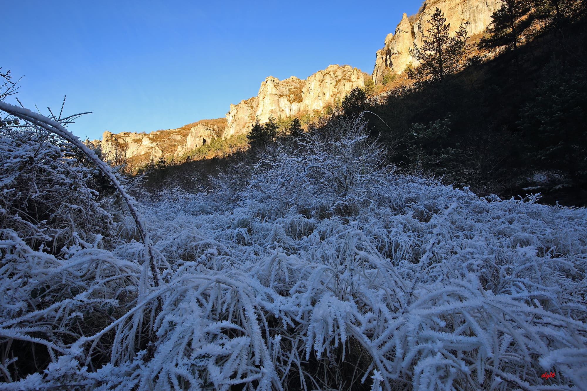 Les Gorges de la Jonte