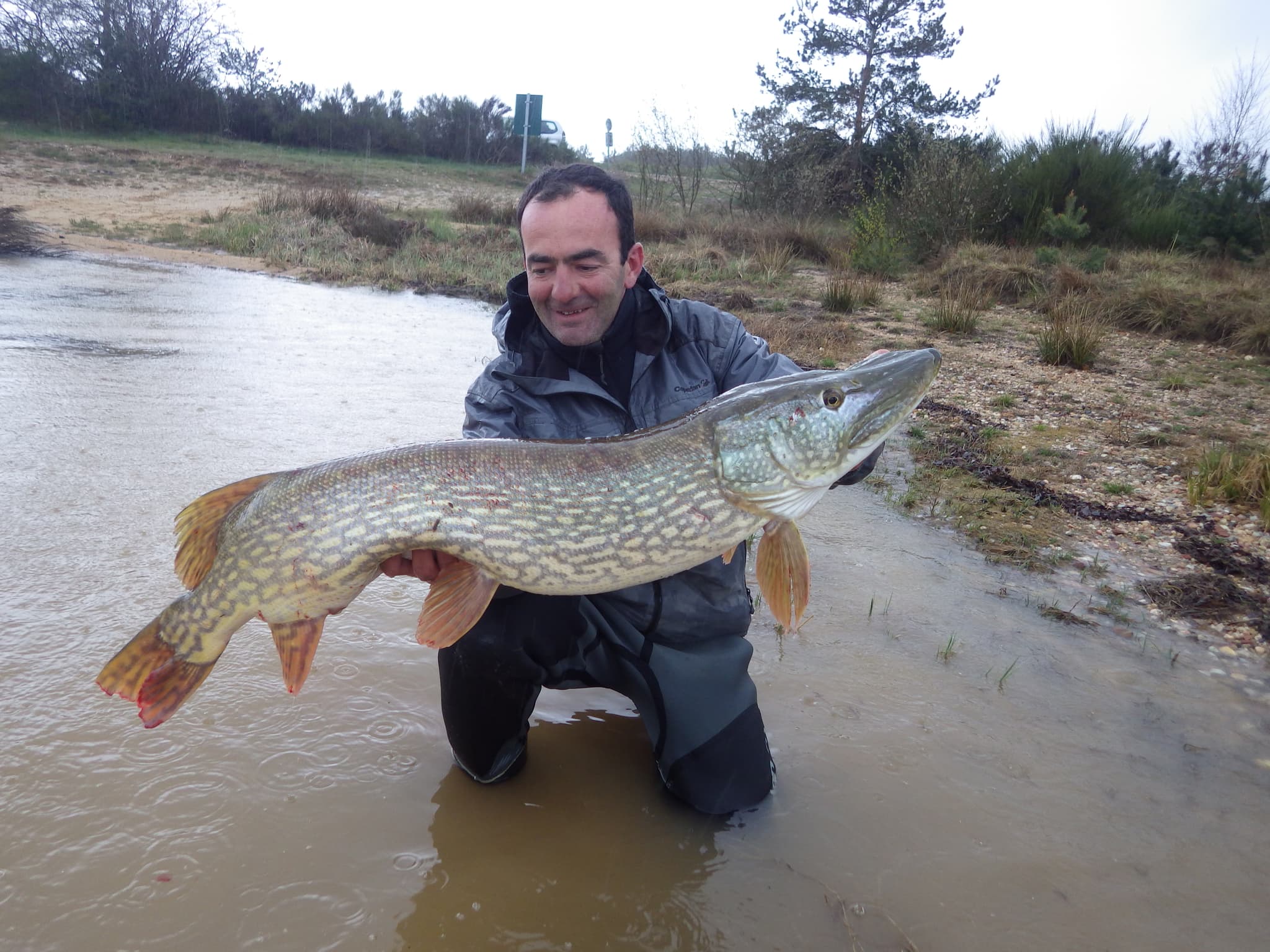 Gros brochets lac de Naussac
