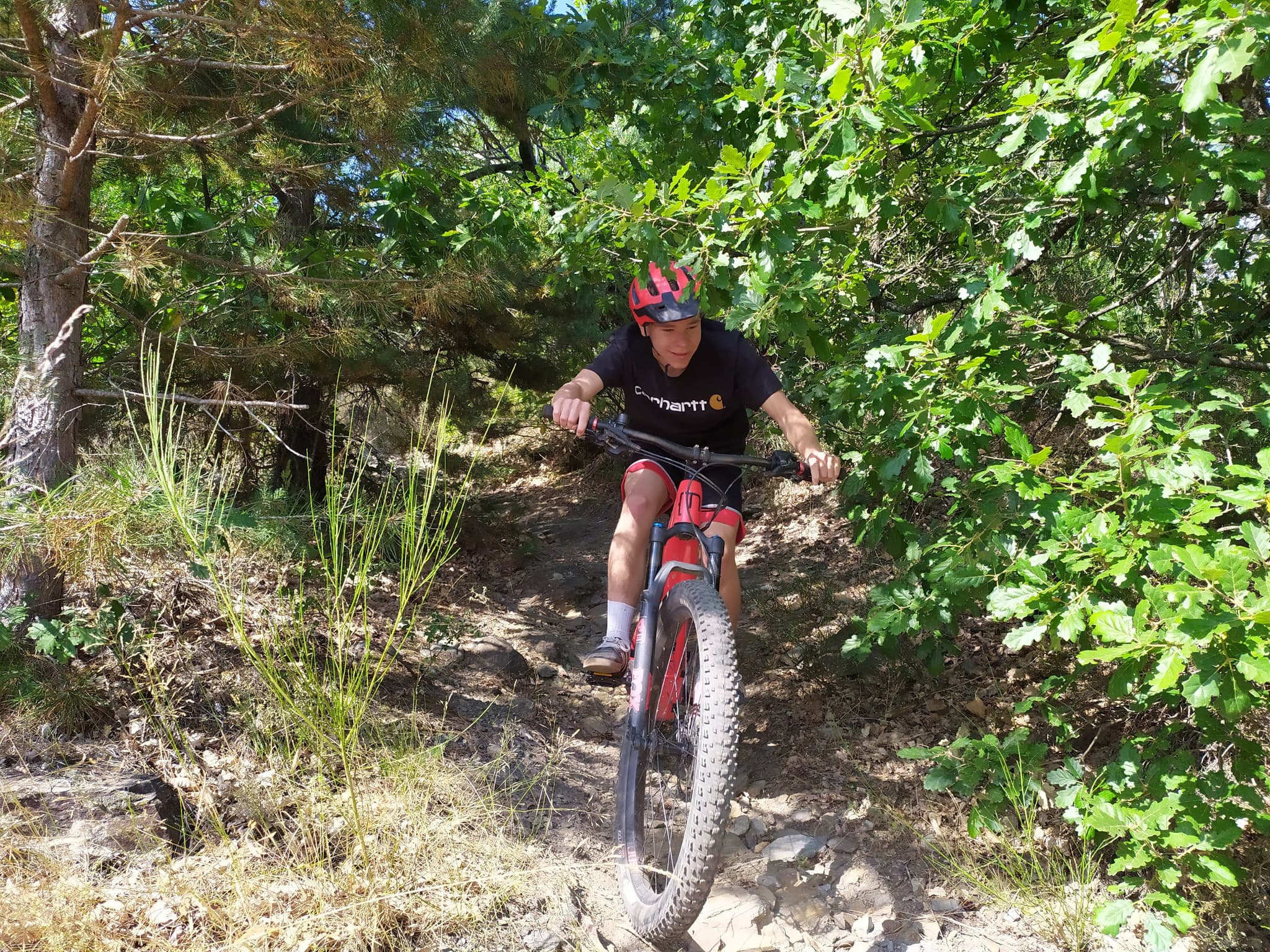 Bikingfarm Jean philippe Langlois 22 #10