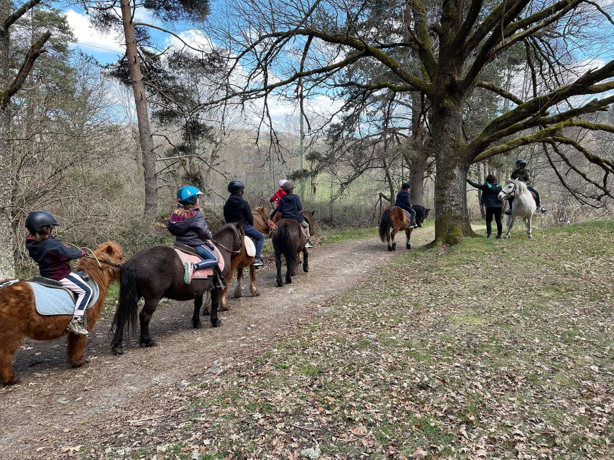 Balades à poney le malzieu