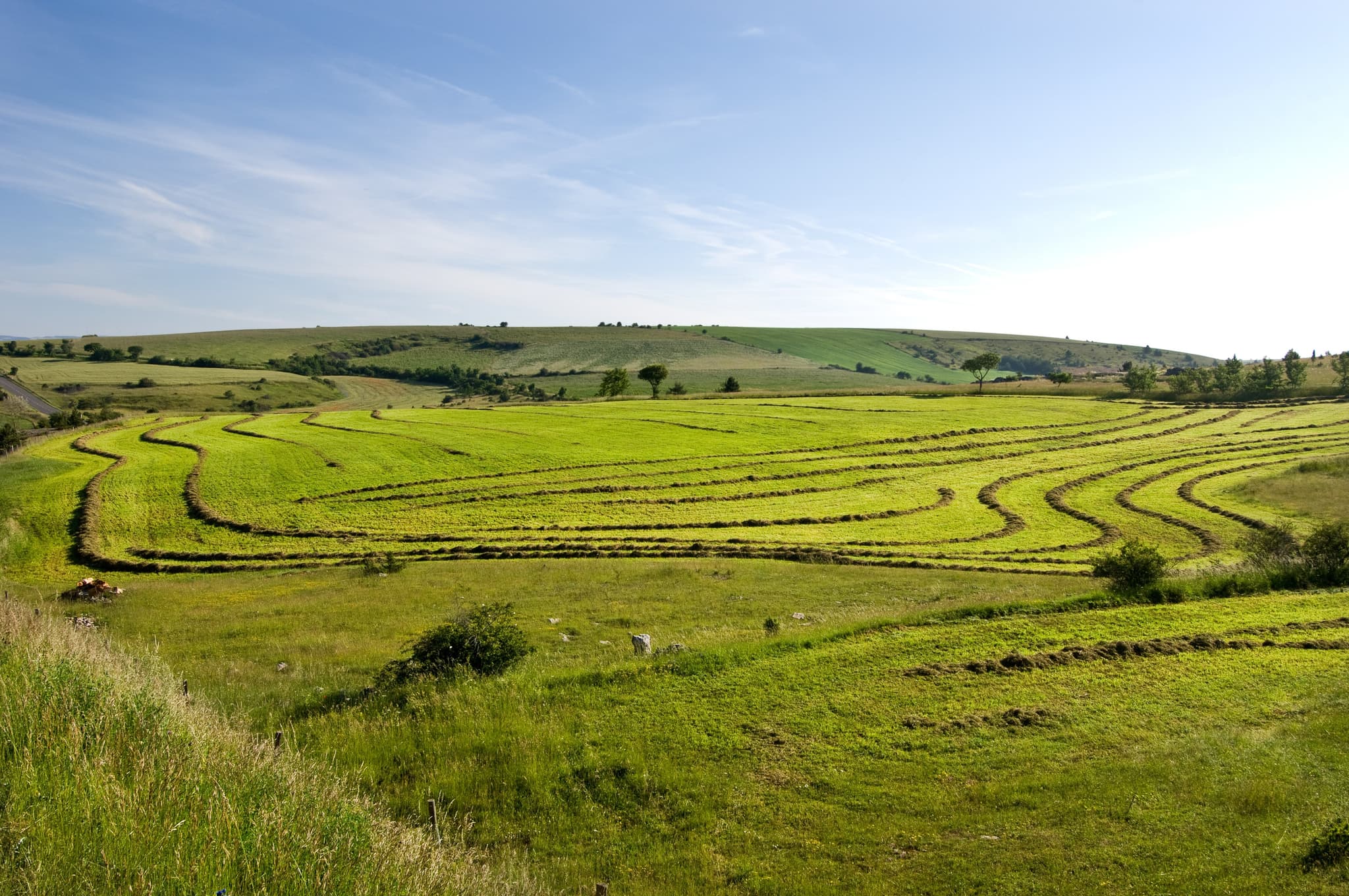 Fenaison à Sauveterre