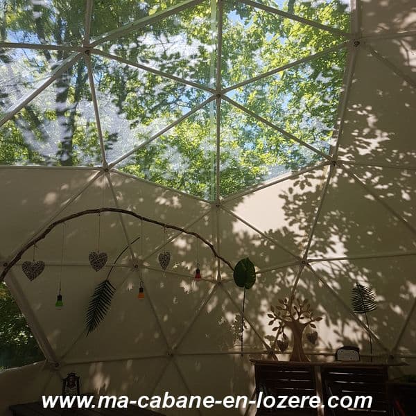 Dome de la fôret