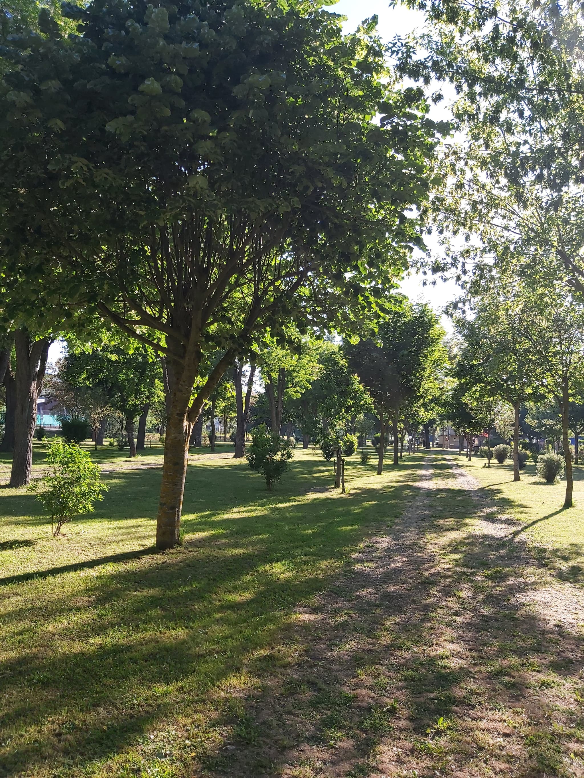 CAMPING LE TIVOLI