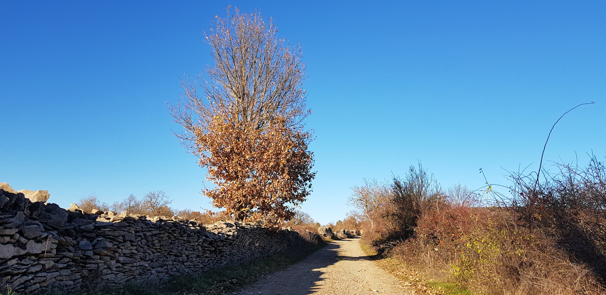 Les chemins du Plateau du Poujoulet