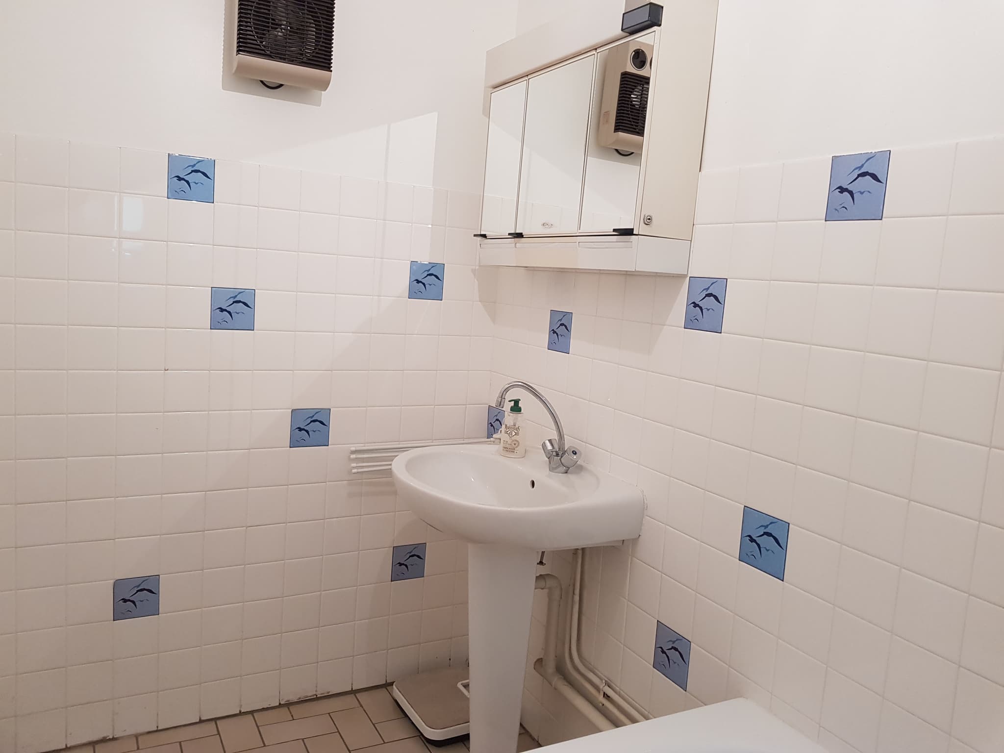 Salle de Bain - coté Lavabo et armoire de toilette