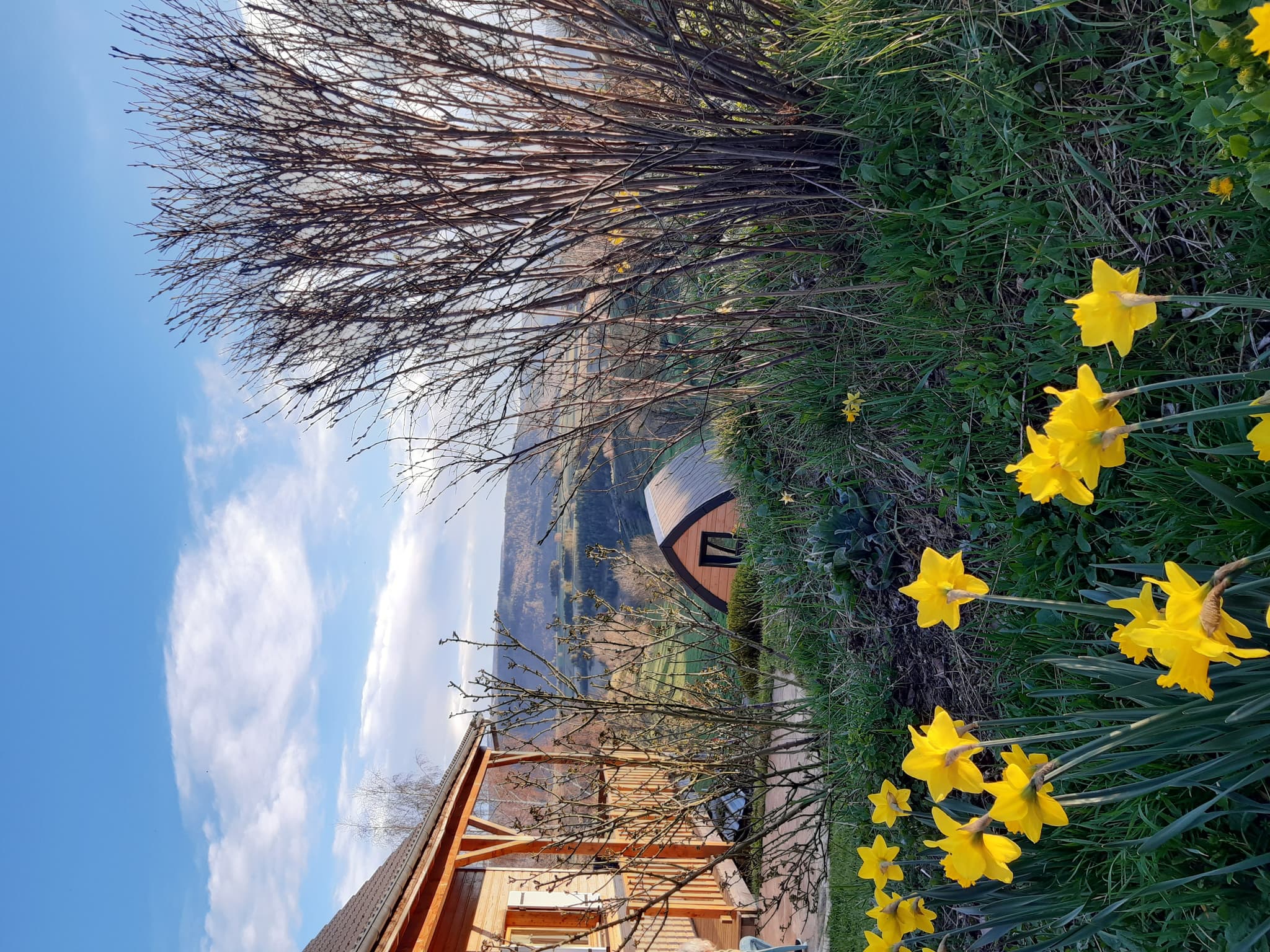 Cabane petite Ourse au printemps