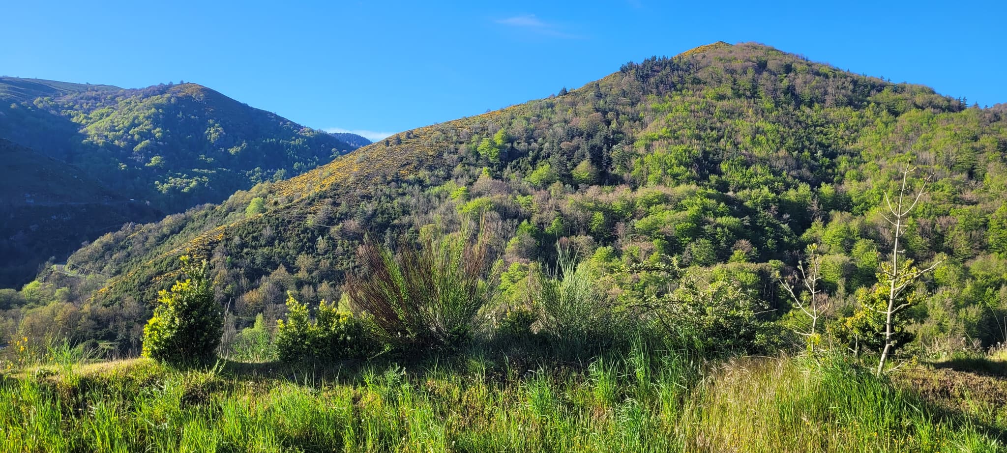 Vue des Chalets