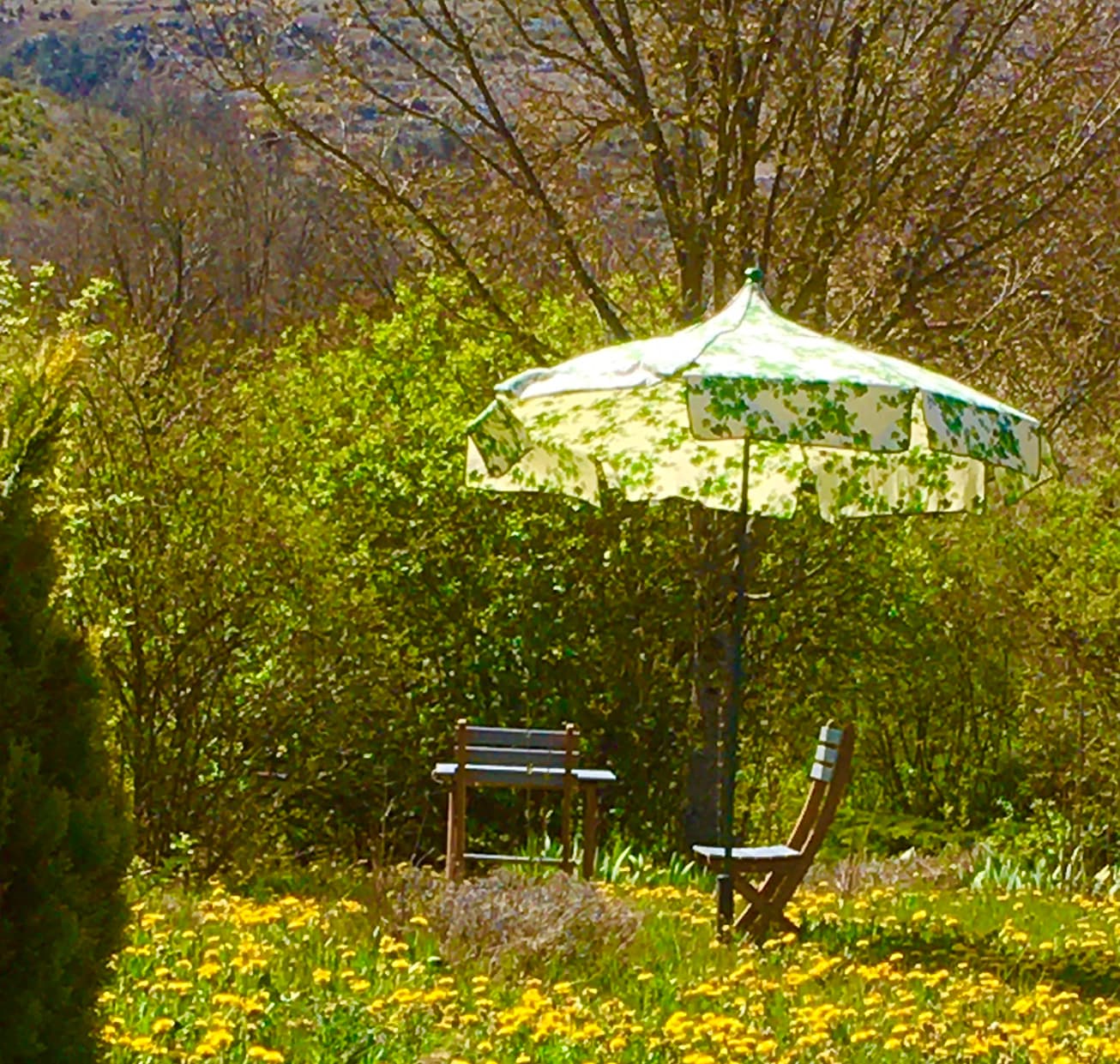 Repos au jardin