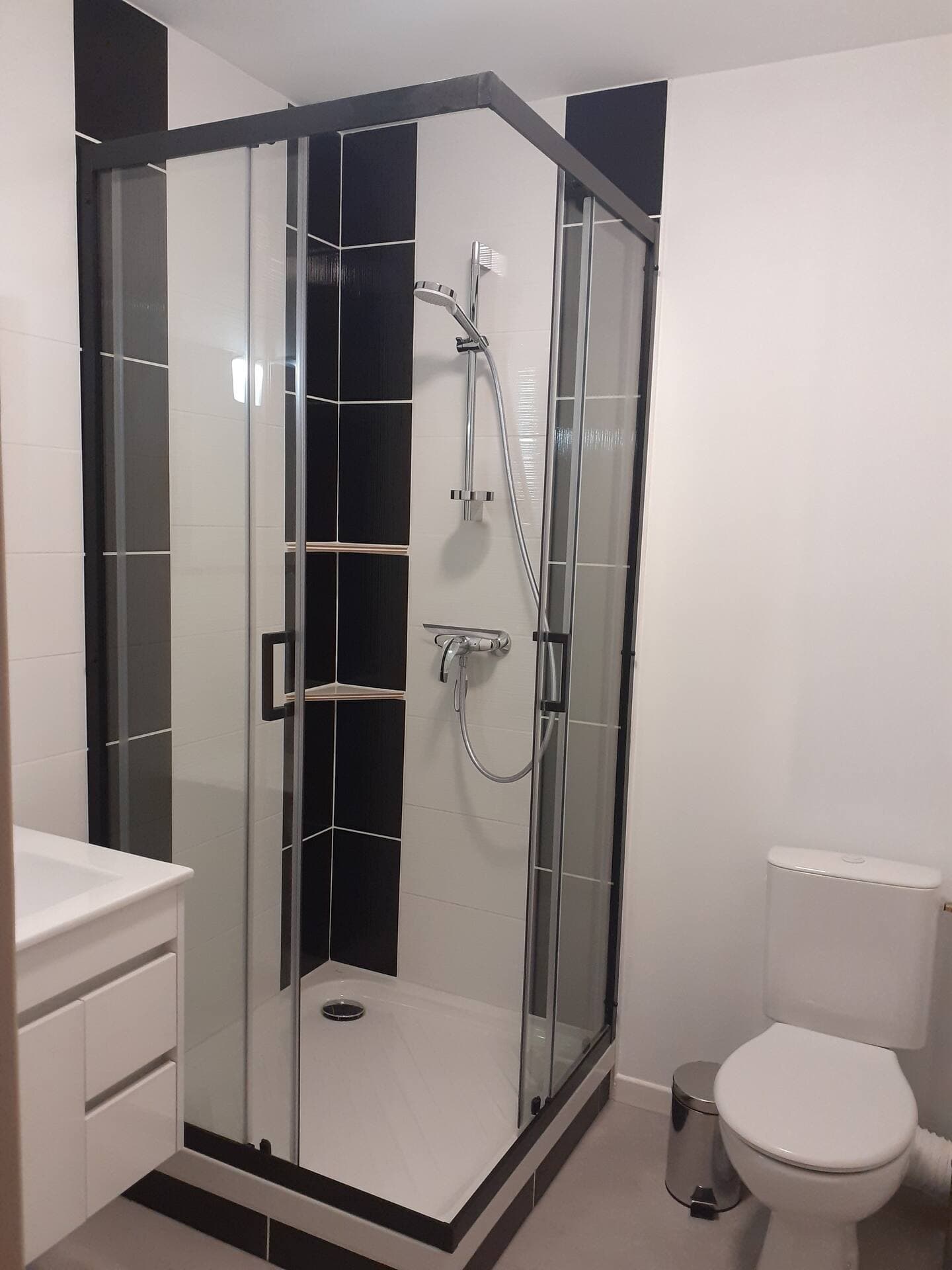Salle de bain avec douche et wc