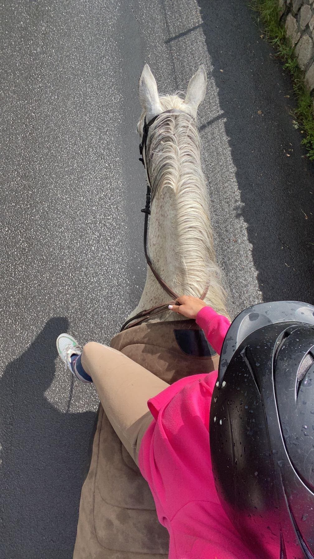 A cheval