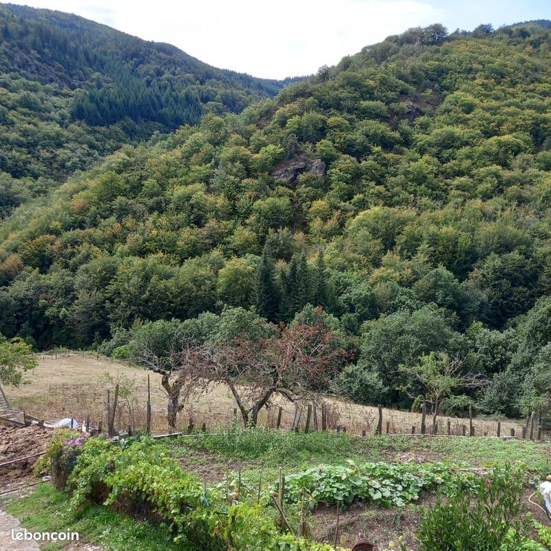 Vue sur montagne