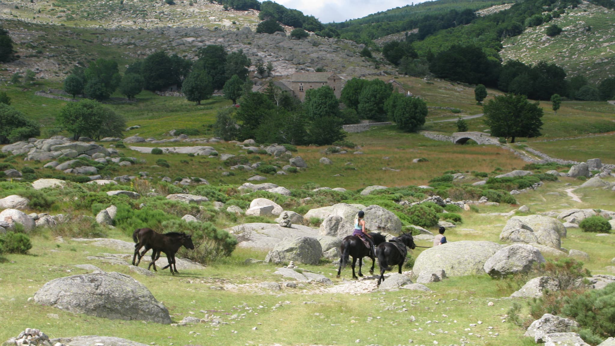 Transhumance