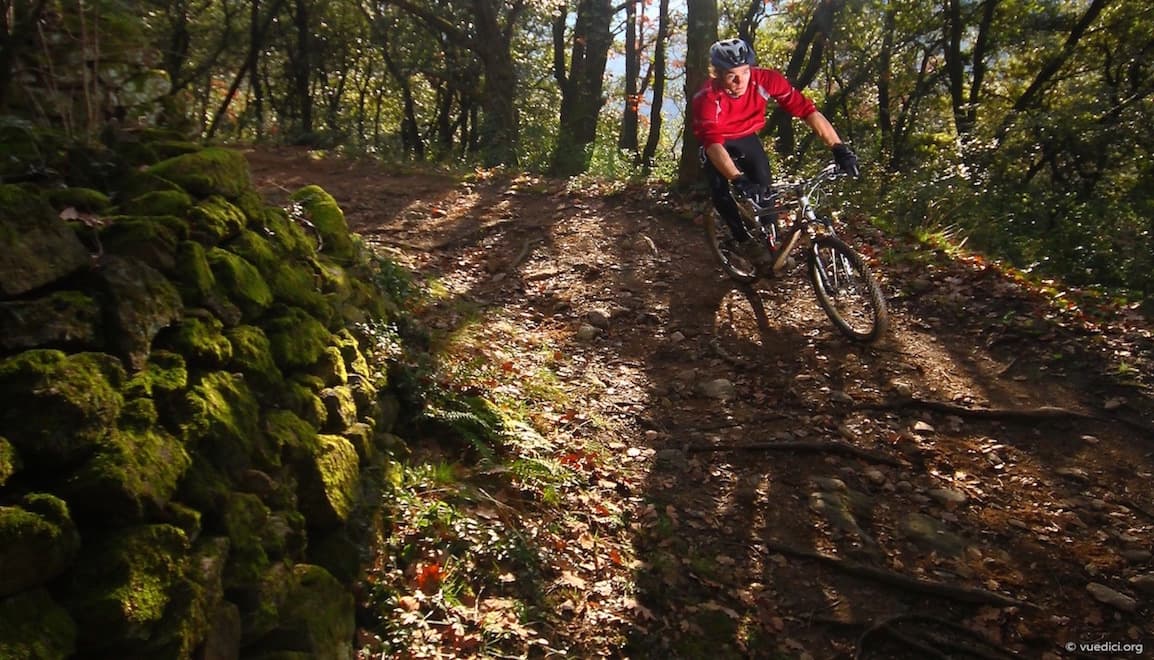 VTT en forêt