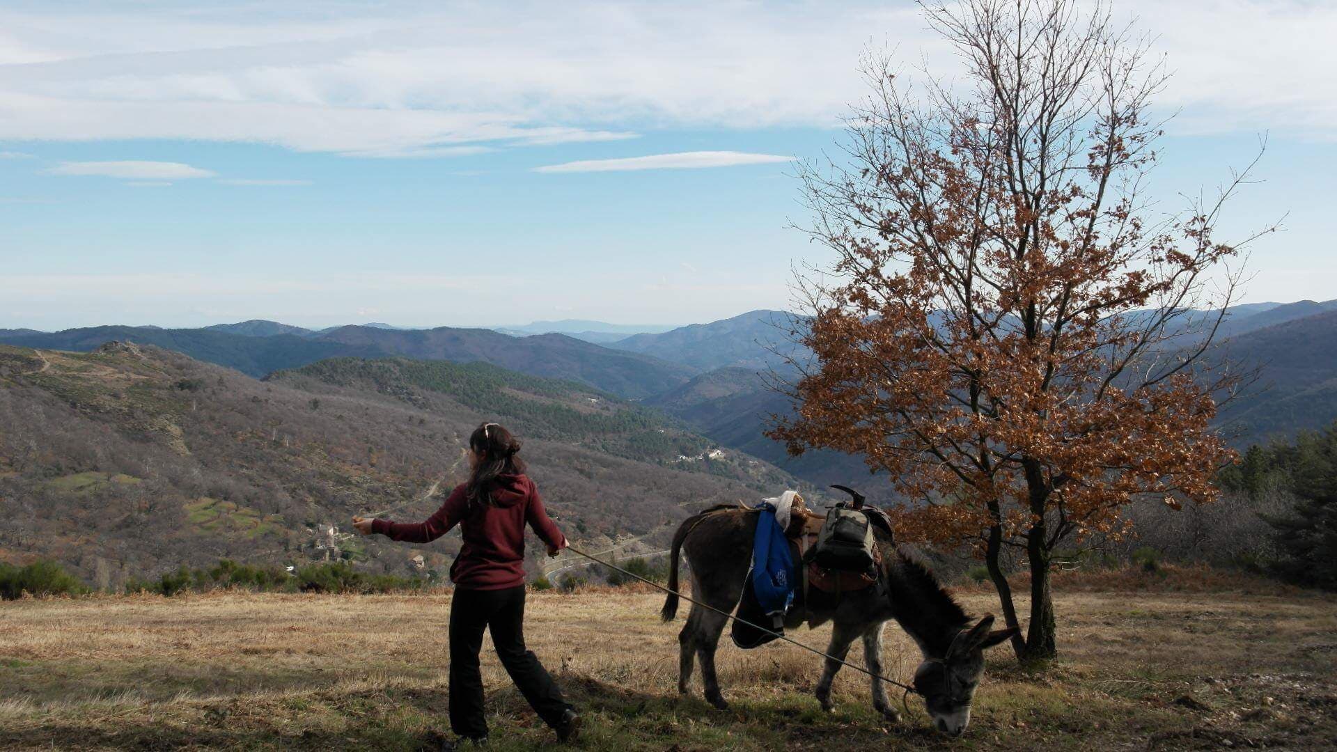 ©Cévennes G'Randos d'ânes