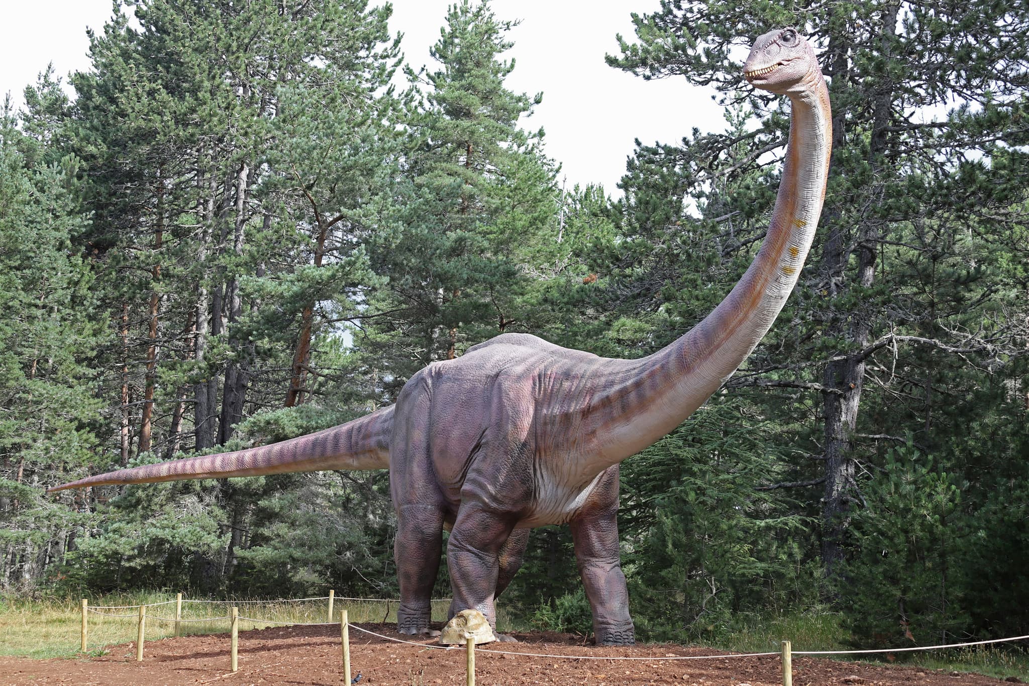 Argentinosaurus