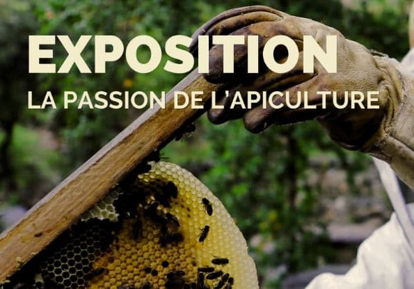 Numa Bastide 2026 – La passion de l'apiculture