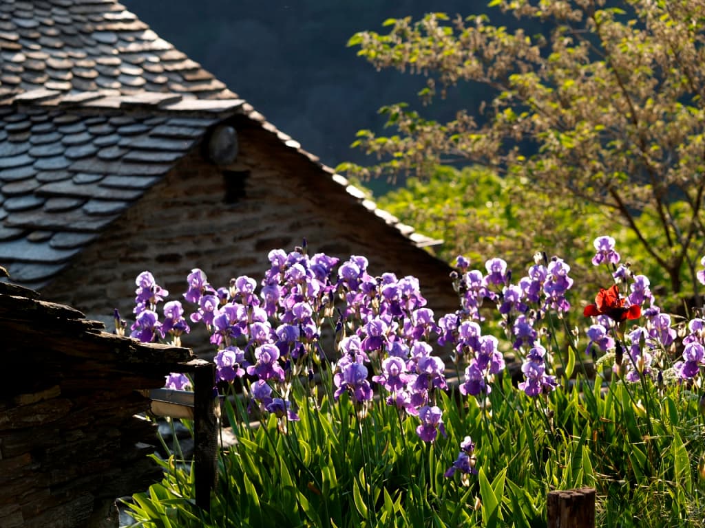 Chambre d'hôte cévennes