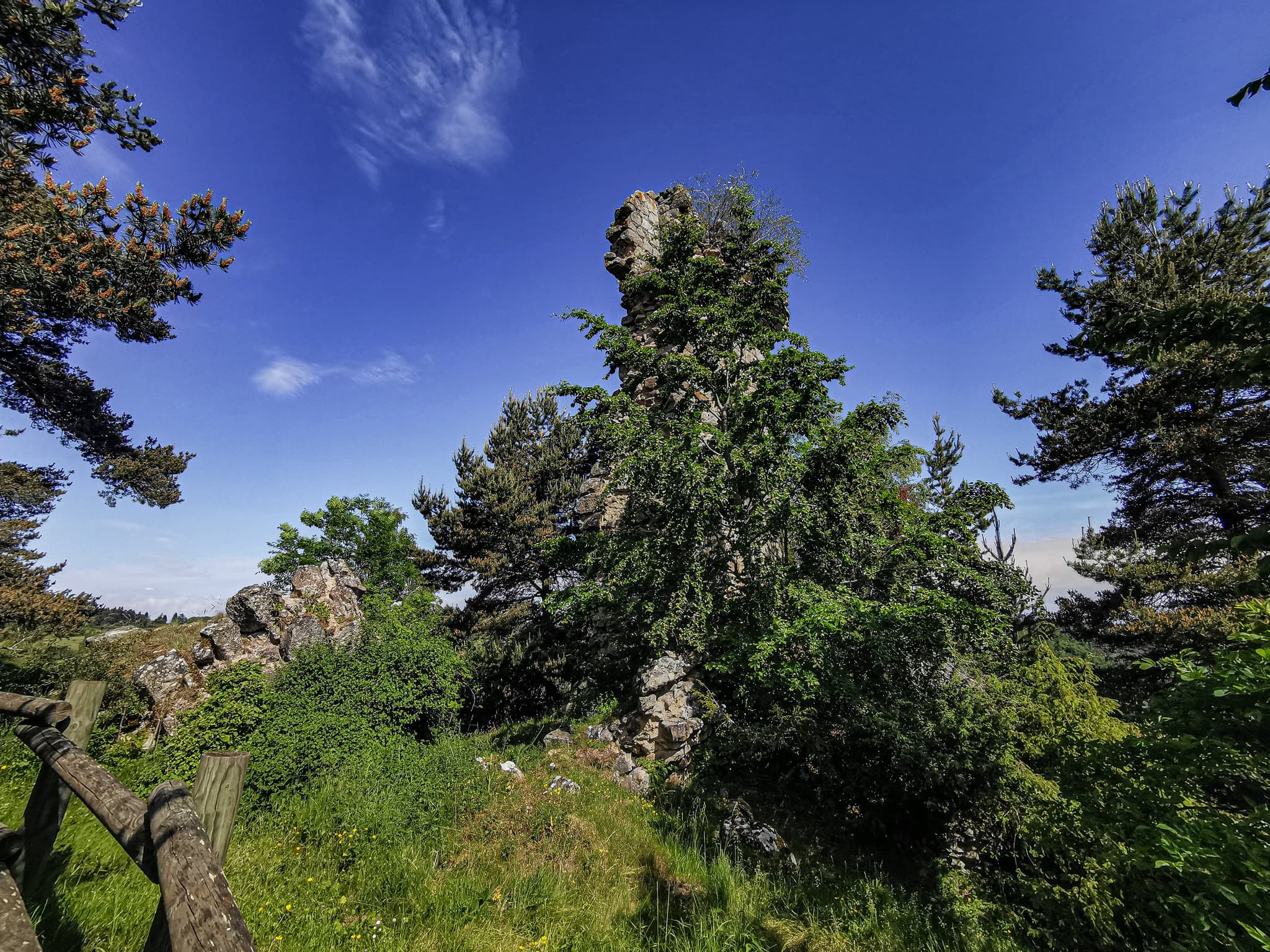 Château Arzenc d'Apcher