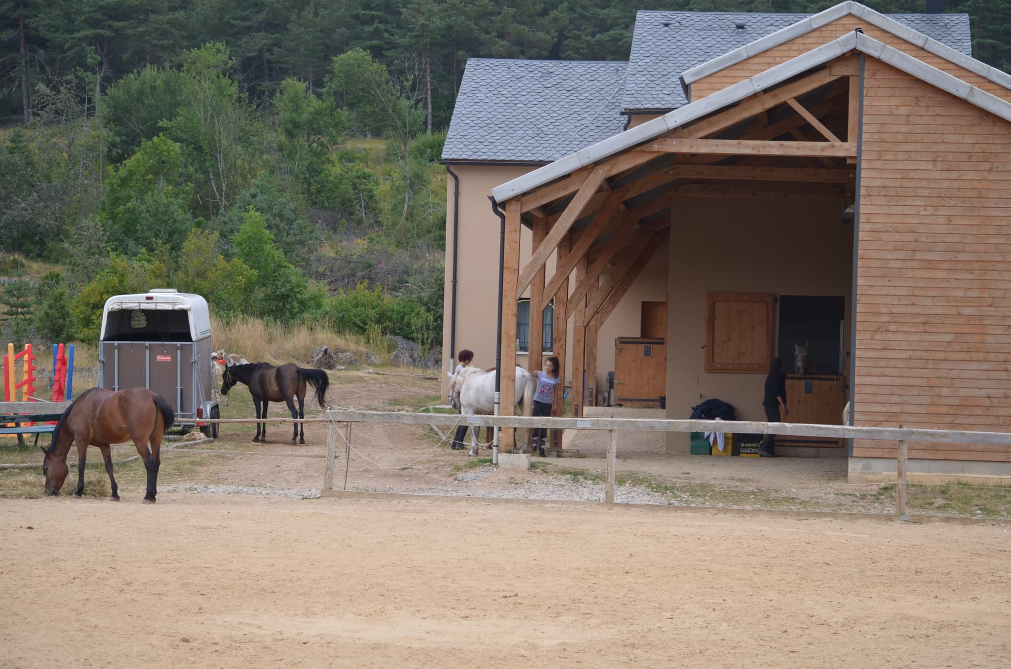Chevaux au vent
