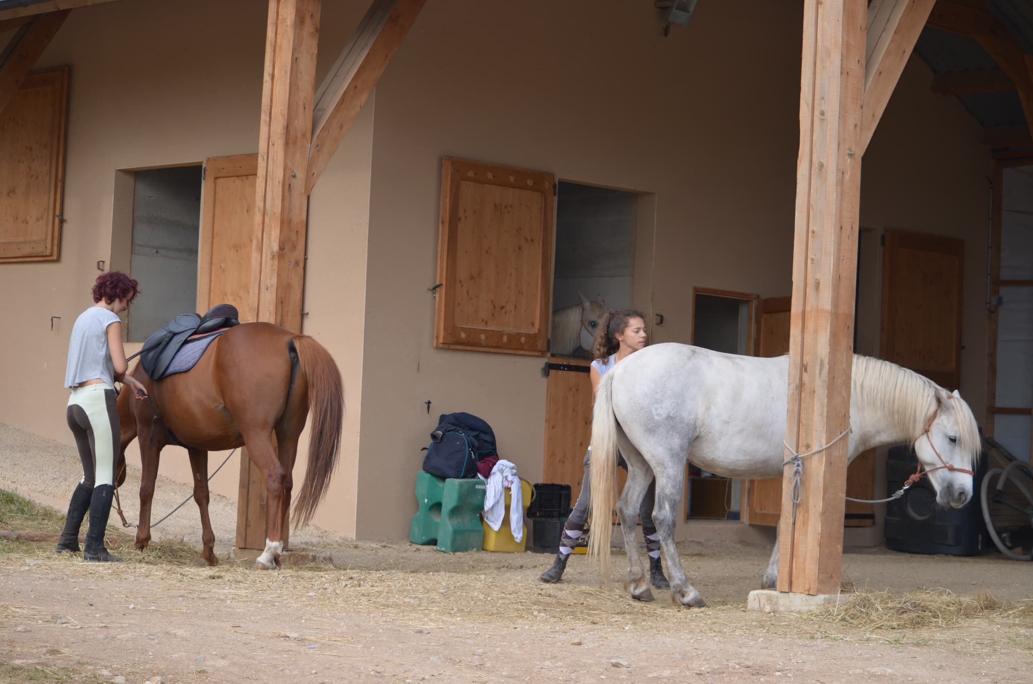 Chevaux au vent