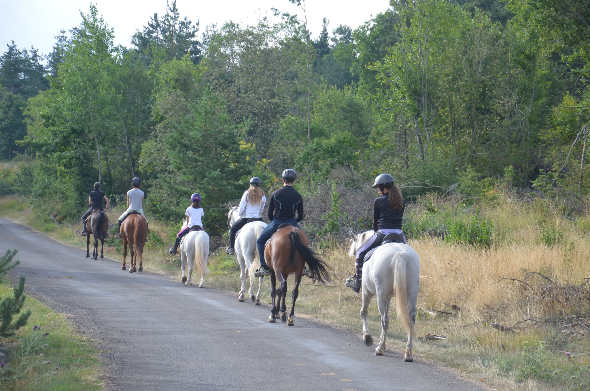 Chevaux au vent