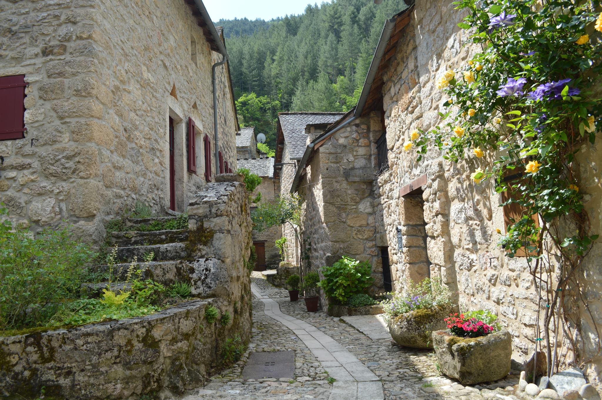Hameau de Castelbouc