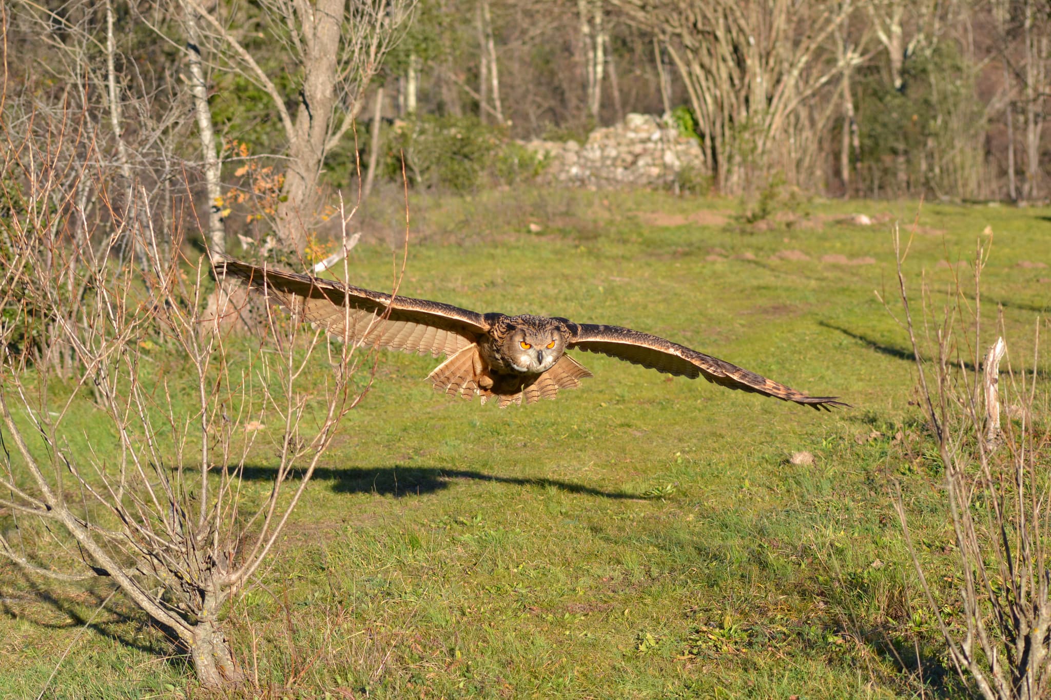 DSC_0473