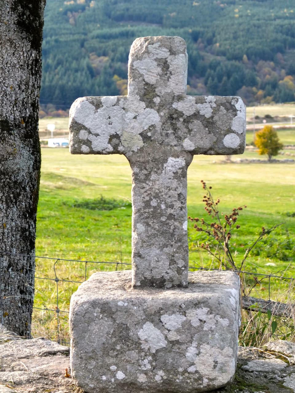 24 Croix