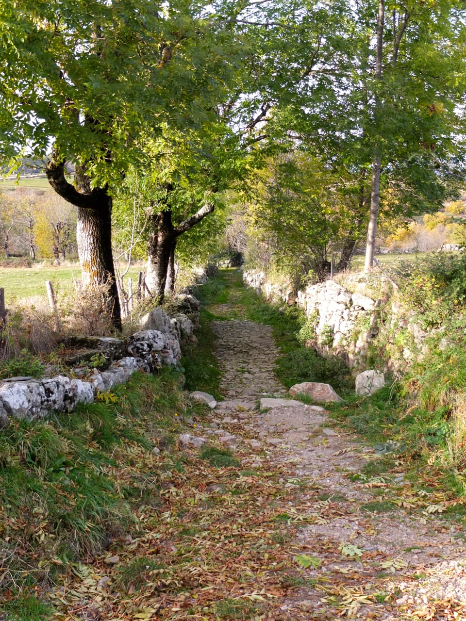 25 Chemin de randonnée