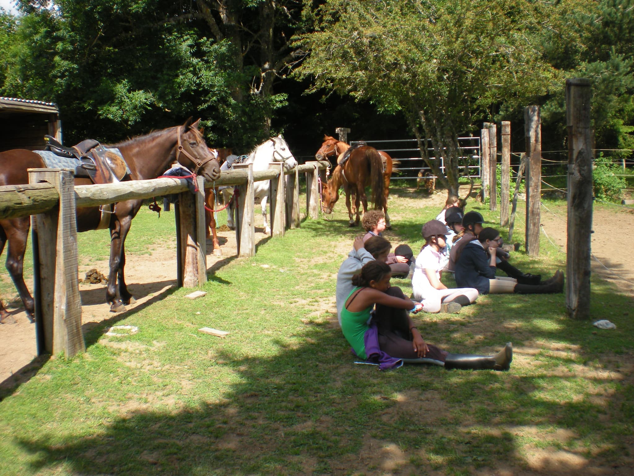 Ecole d'équitation