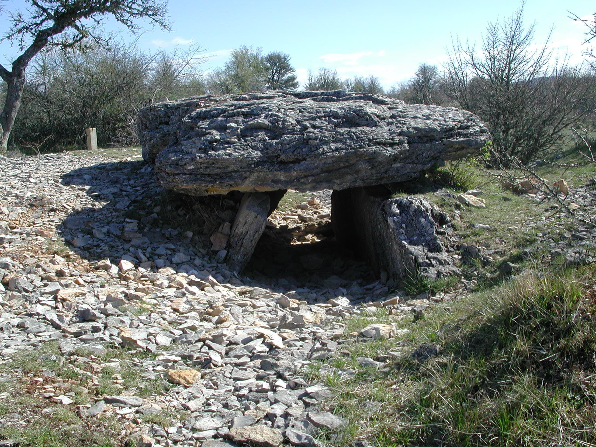 Dolmen-Changefege-vue-generale