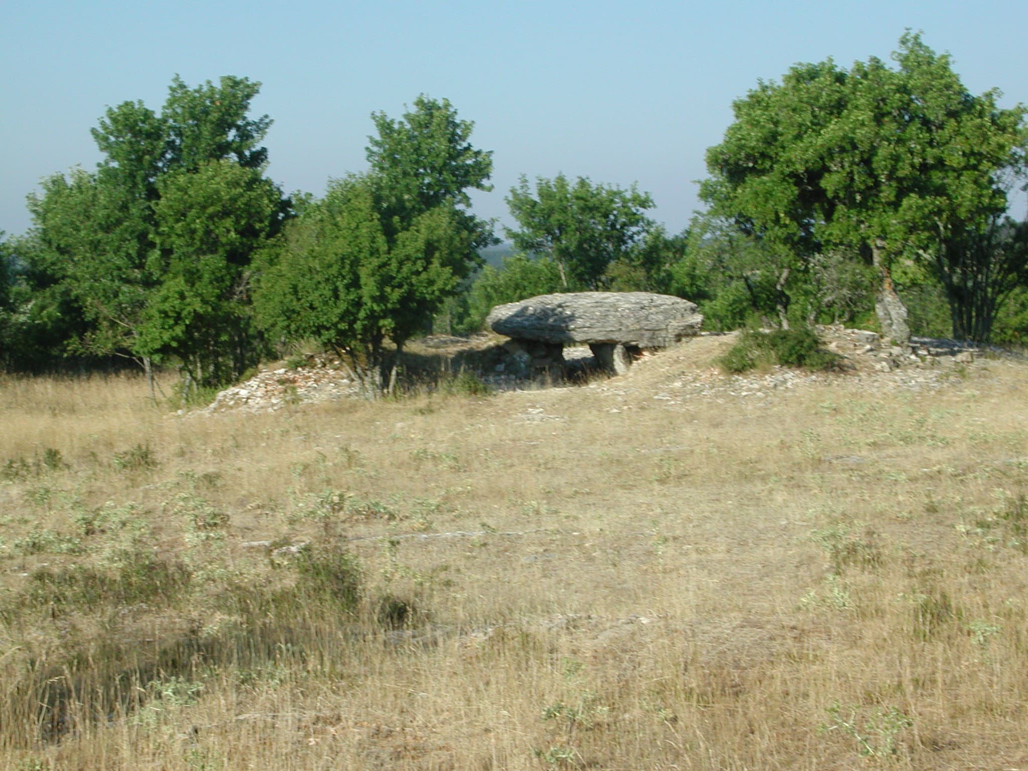 Dolmen-Changefege