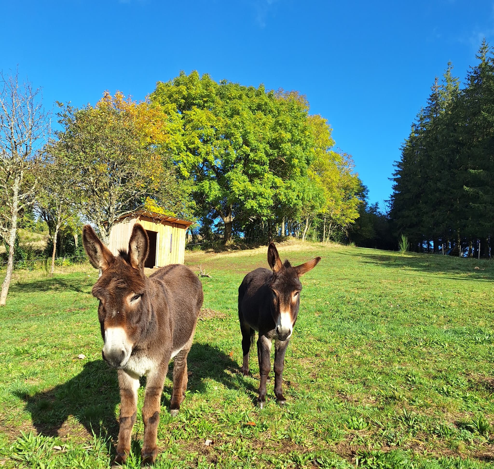 Villa des Sources - Dusty & Basile