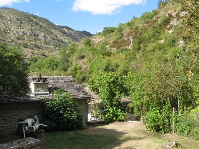 Jardin
