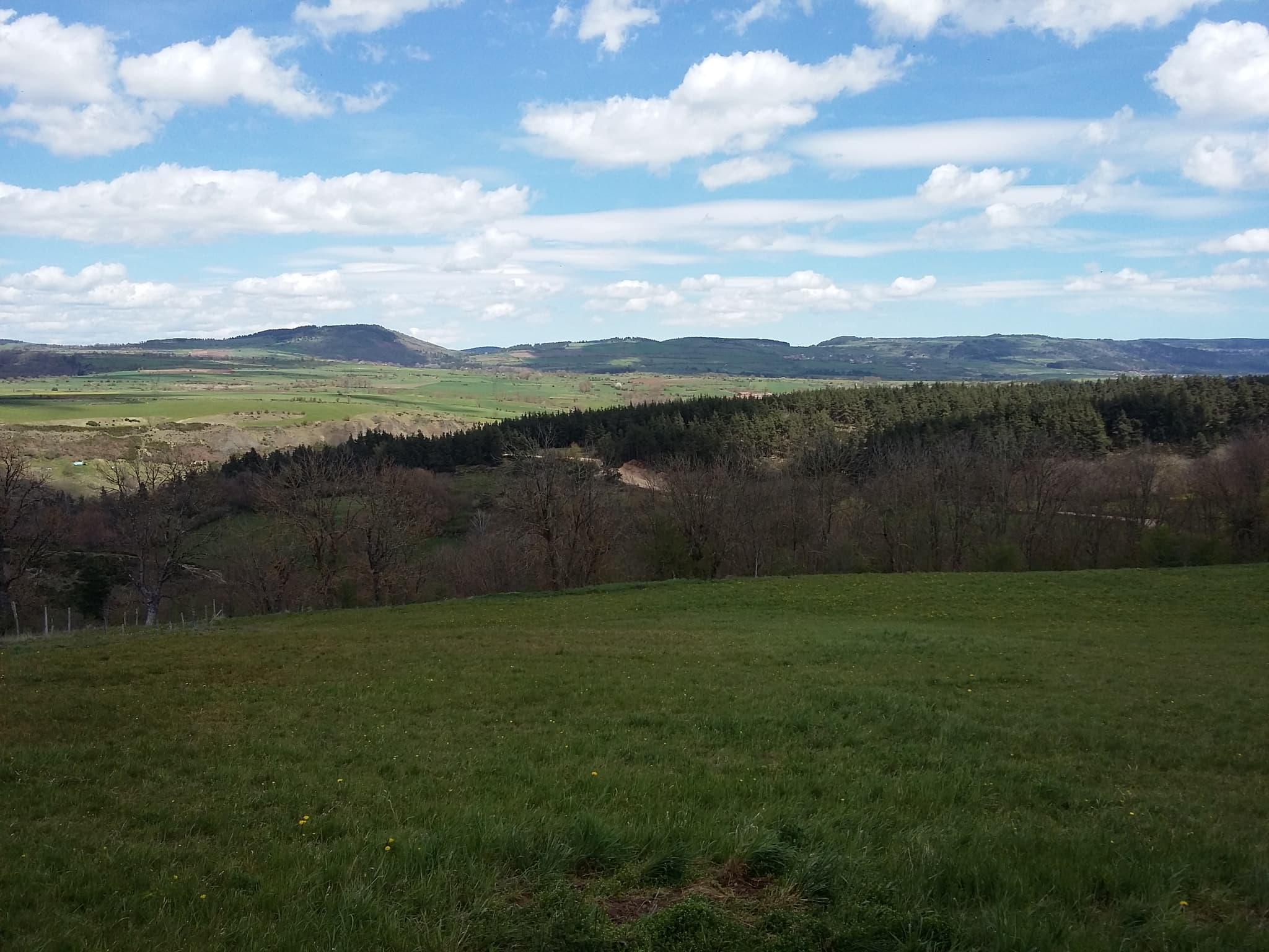 Gite Les Pins - vue
