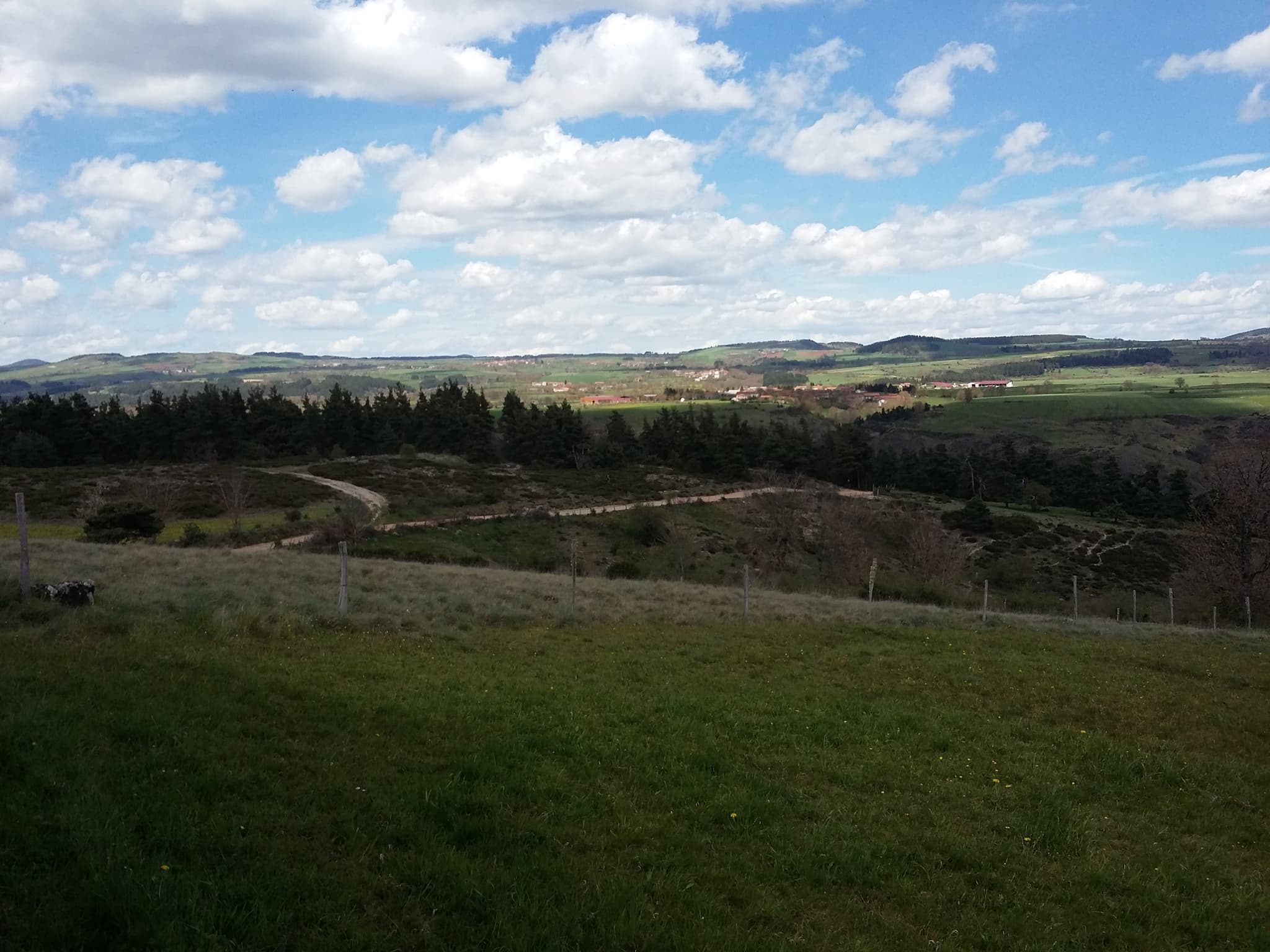 Gite Les Pins (5)