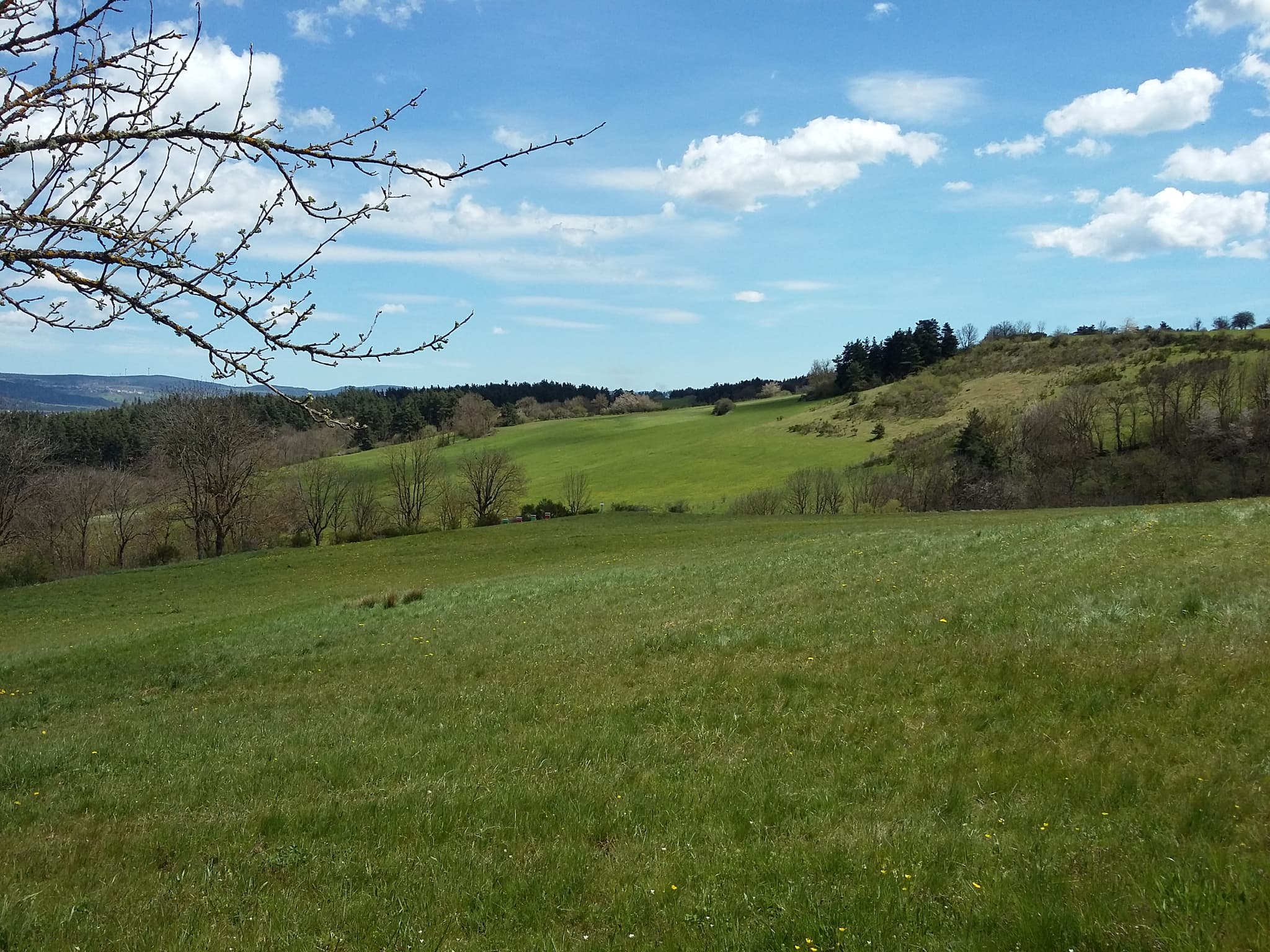 Gite Les Pins (6)